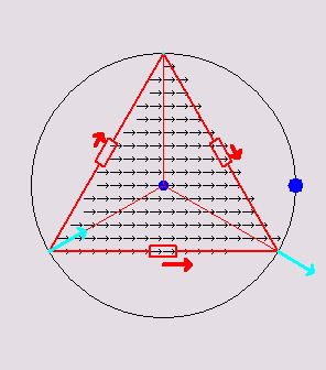 Triangle Network Animation