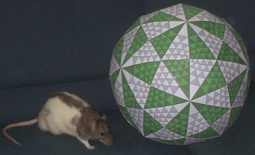 CardBoard dodecaheral sphere