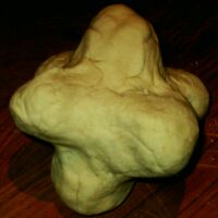Dough quartic 1